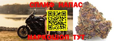 дистиллят марихуана Гатчина