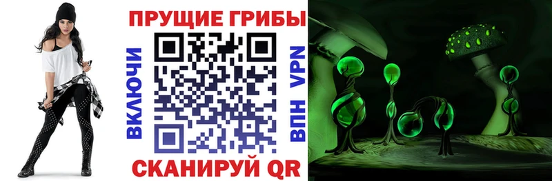 Псилоцибиновые грибы мицелий нарко площадка клад Ялта