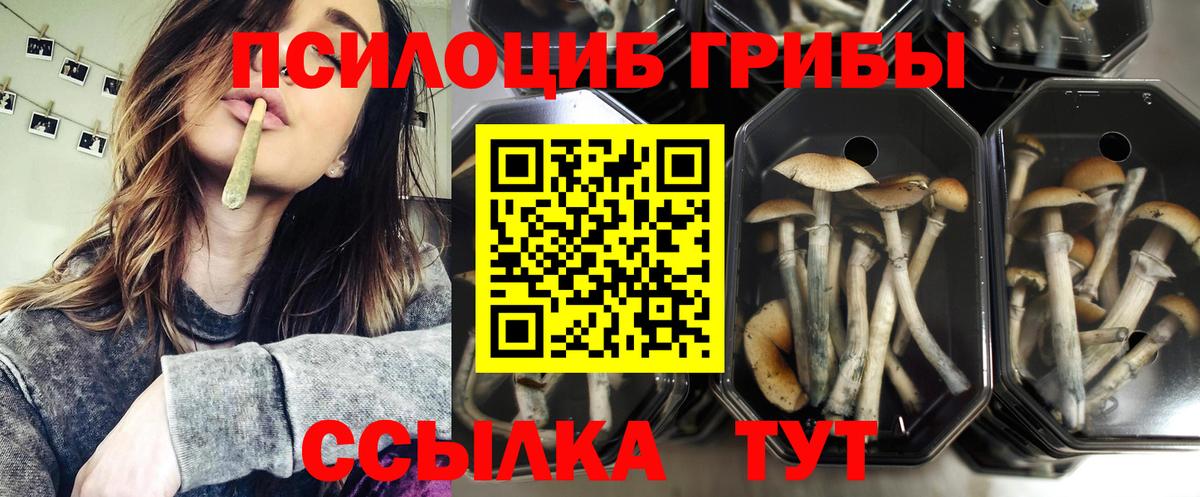 Псилоцибиновые грибы мицелий  купить наркоту  Ялта  Вход с VPN 