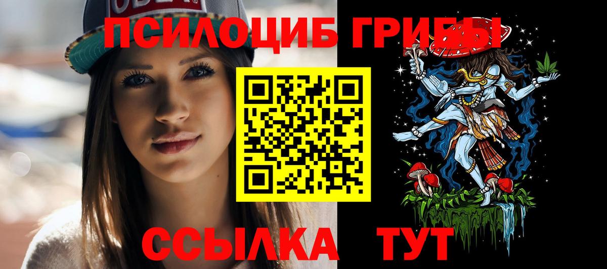 Галлюциногенные грибы Psilocybe Ялта